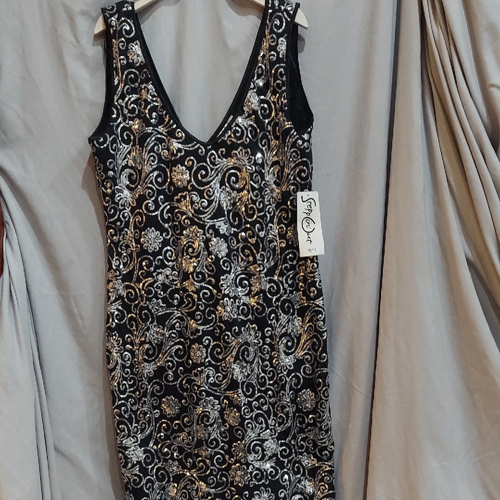 Elegant Black and Silver Embroidered Dress